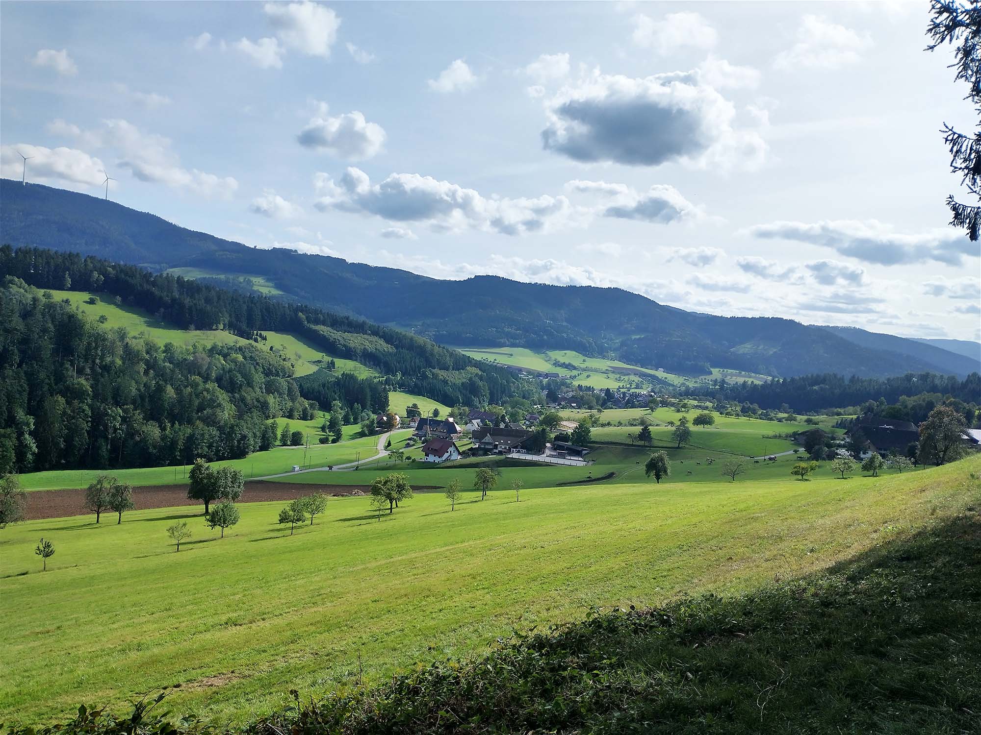 2023-10-11-NO-Luitgard Bieser-DAV-Seniorenwanderung in UH-10_2023_05_Bach- und Panoramaweg UH