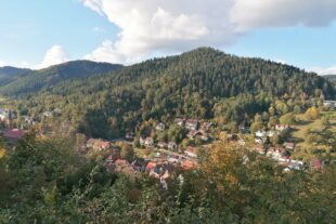 2023-10-18-NO-Dagmar Vollmer-SWV-Herbstwanderung-IMG_20231015_165706
