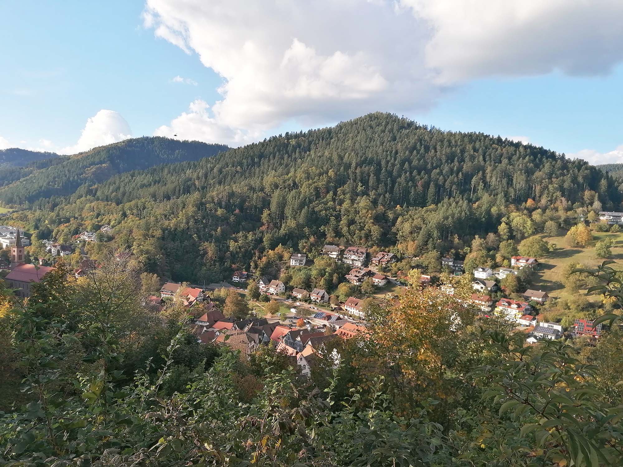 2023-10-18-NO-Dagmar Vollmer-SWV-Herbstwanderung-IMG_20231015_165706