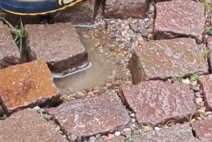 2023-10-20-BI-privat-SPD-Dorfspaziergang-14102023 2-neu