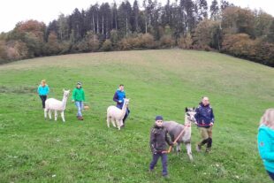 2023-10-31-BI-PB-privat-Bechererhof-1000060307