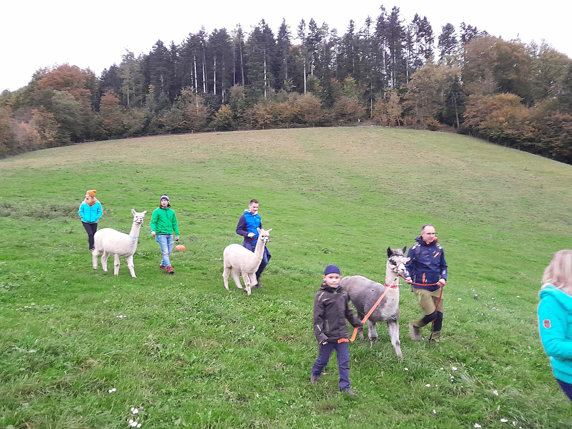 2023-10-31-BI-PB-privat-Bechererhof-1000060307