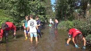 Spielend lernen am und im Wasser