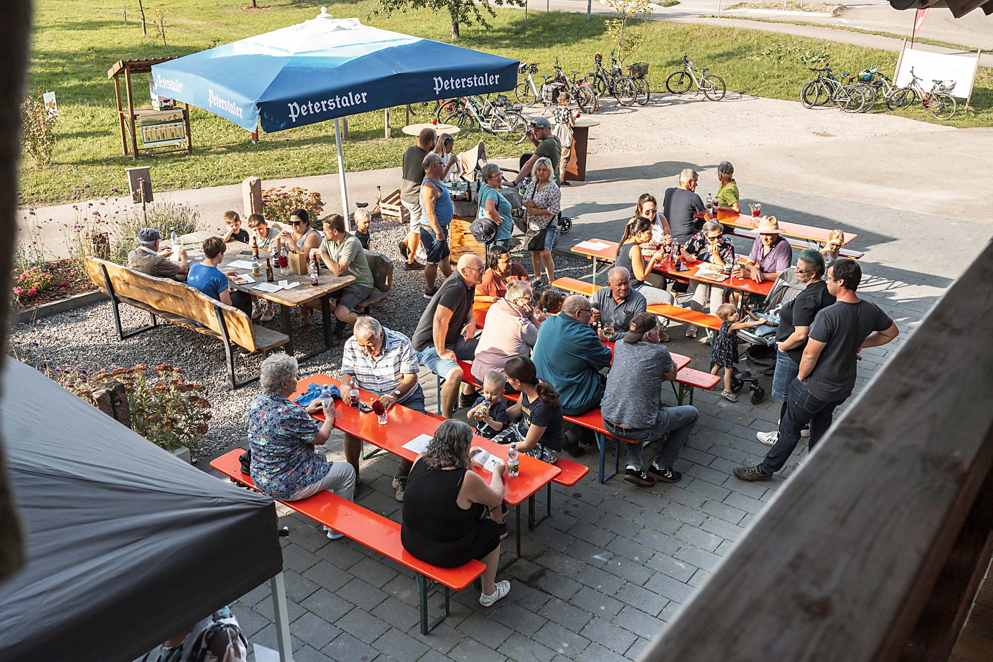 2023-10-6-ZE-UE-Anja Streif-Bienenmartin-DSC00423