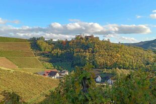 2023-11-15-NO-Luitgard Bieser- Herbstwanderung DAV Nesselried 11_2023_Nesselried_15