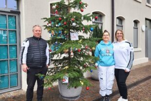 2023-11-22-BI-Sebastian Zehnle- Wünsche-Baum-bild sp