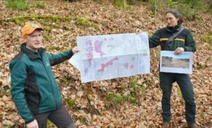 Im Stadtwald gut und nachhaltig gewirtschaftet