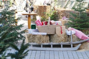 2023-12-20-ZE-UE-Martin Huber-Adventshock-Das Orgateam hat wunderschön und aufwändig den Platz gestaltet(28)