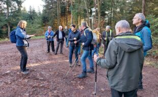 Über die AugenBlick-Runde und den Hahn-und-Henne-Weg zum Kuhhorn