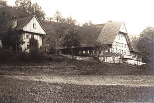 2023-12-29-OH-tg- Vogtshof Infotafel neu Unbenannt