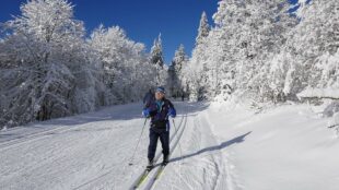 Traumhafte Winterlandschaft