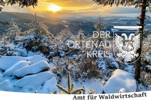 2024-1-10-OG-Landratsamt- Titelblatt_Waldwirtschaft