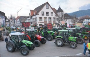Nicht nur die Landwirte protestieren gegen politische Entscheidungen