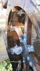 Winterimpressionen im Park von Unterharmersbach