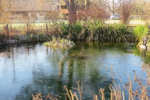 2024-1-15-ZE-UH-ga-Winterimpressionen-IMG_8173