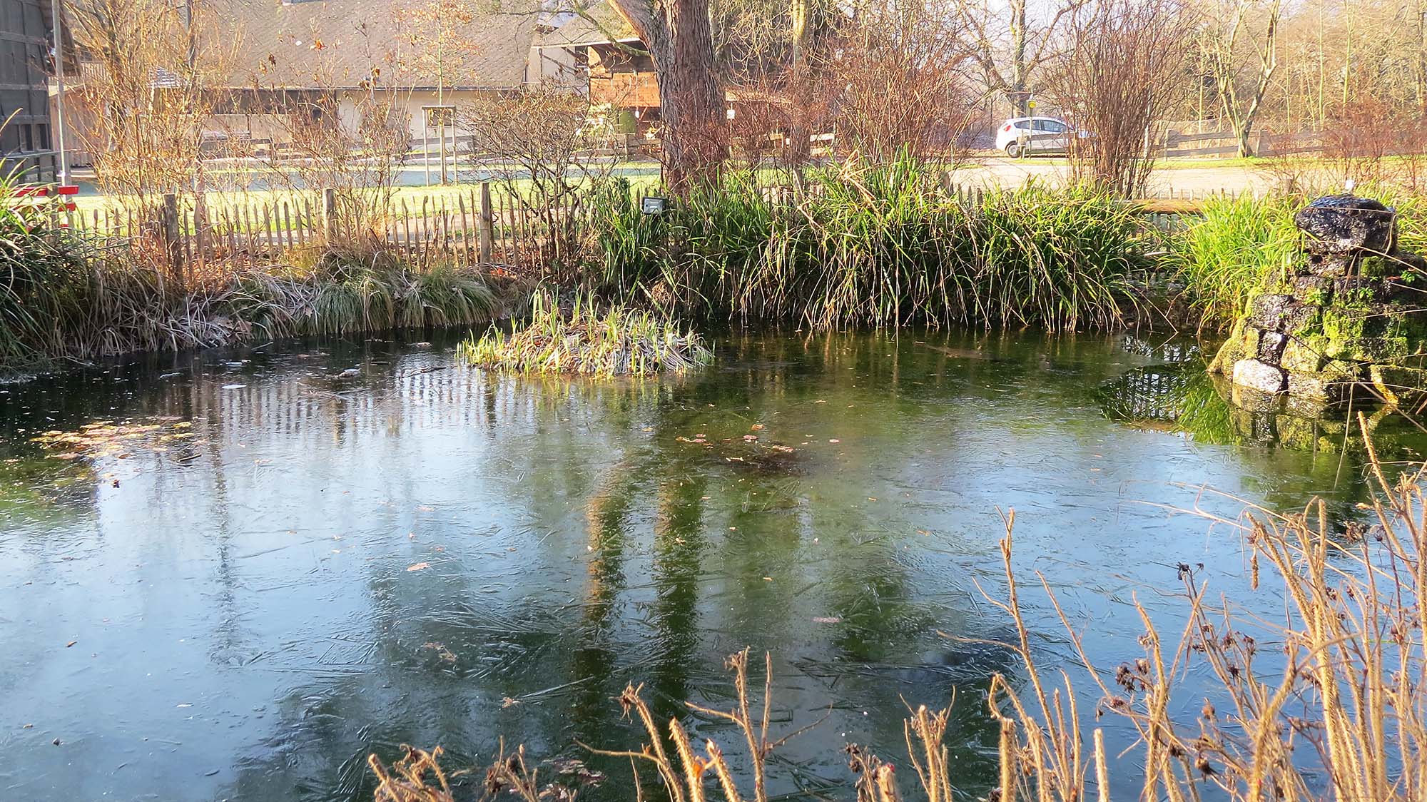 2024-1-15-ZE-UH-ga-Winterimpressionen-IMG_8173