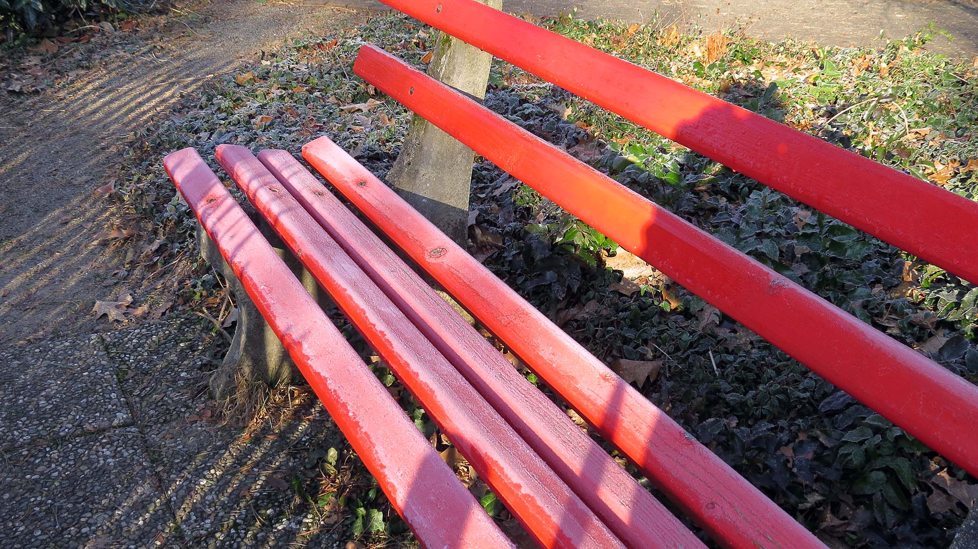 2024-1-15-ZE-UH-ga-Winterimpressionen-IMG_8174