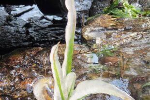 2024-1-15-ZE-UH-ga-Winterimpressionen-IMG_8175