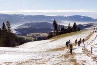 2024-1-19-NO-Martin Huber-DAV-Abstieg von der Hochrütti hinunter nach St. Peter mit Blick zum Feldberg, ...nsland