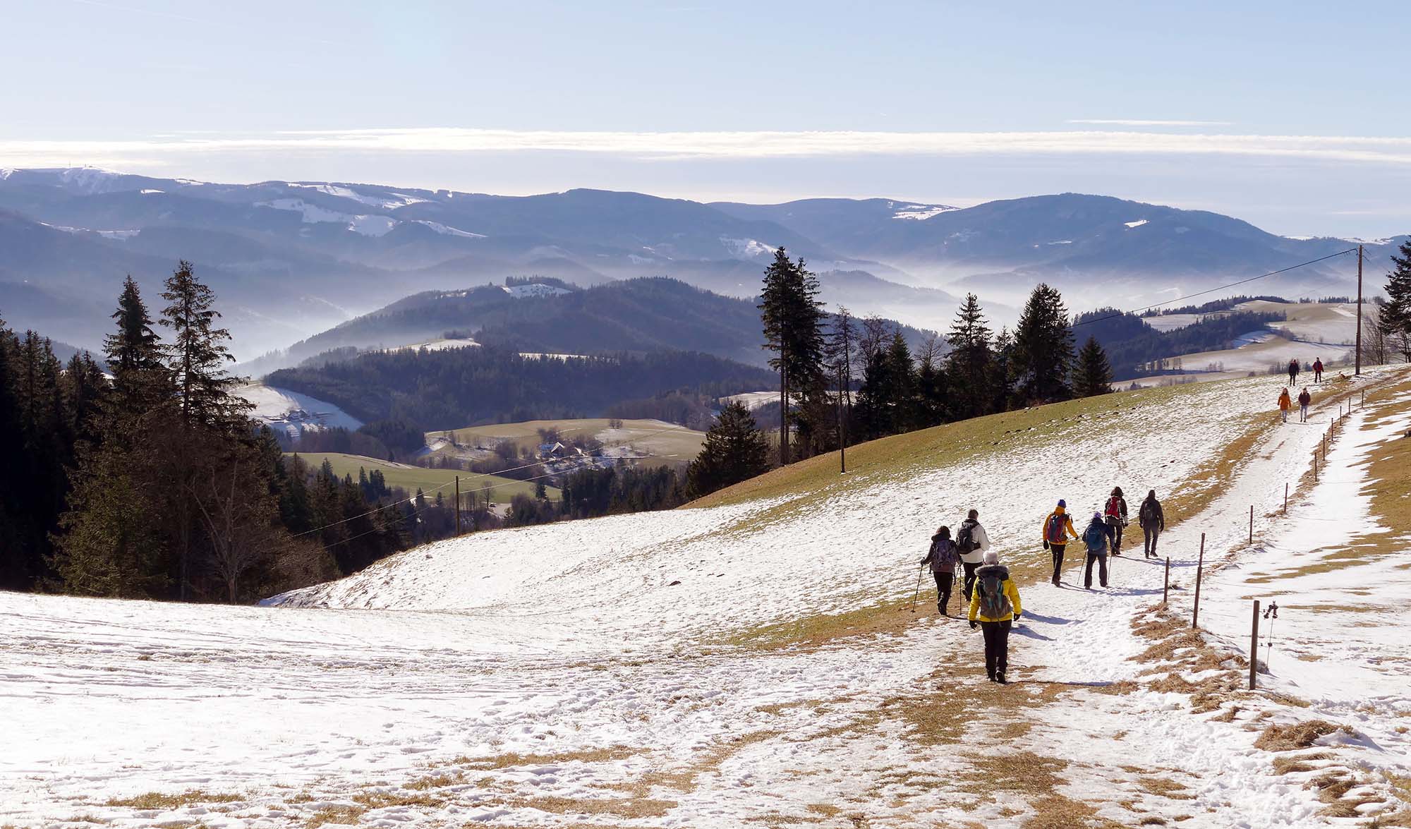2024-1-19-NO-Martin Huber-DAV-Abstieg von der Hochrütti hinunter nach St. Peter mit Blick zum Feldberg, ...nsland