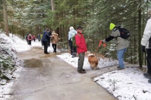 2024-1-26-Hornberg-Ingeborg Bruder-Schwarzwaldverein-IMG_20240121_120549