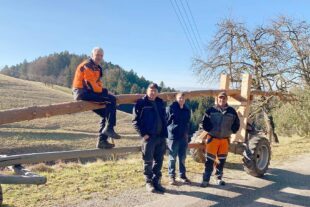 2024-1-31-ZE-UH-Eckwaldhexen-Baumstellen_Bild2