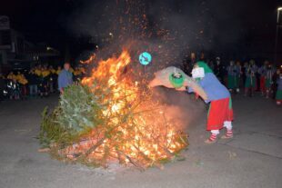 2024-2-14-BI-hps-Fasentverbrennung-DSC_1012 2