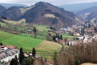 2024-2-19-NO-hv-Wanderschafe IMG_20240218_152819