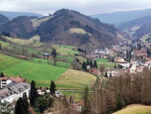 Wanderschafherde zieht durchs Nordrachtal