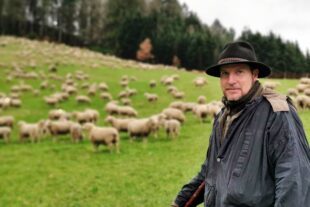 2024-2-19-NO-hv-Wanderschafe IMG_20240218_164932