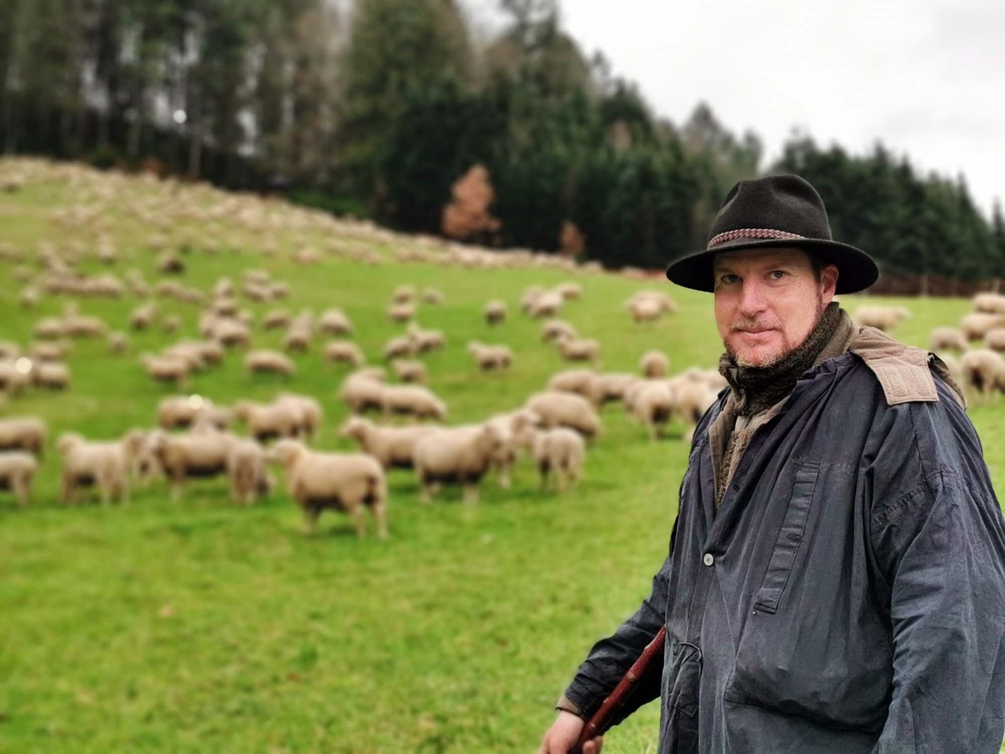 2024-2-19-NO-hv-Wanderschafe IMG_20240218_164932