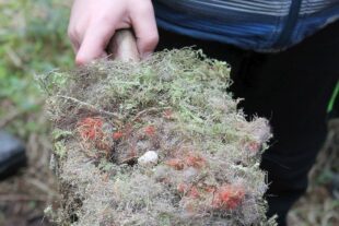 2024-2-28-OH-Franz Huber-SWV-Familienwanderung-Bild-05