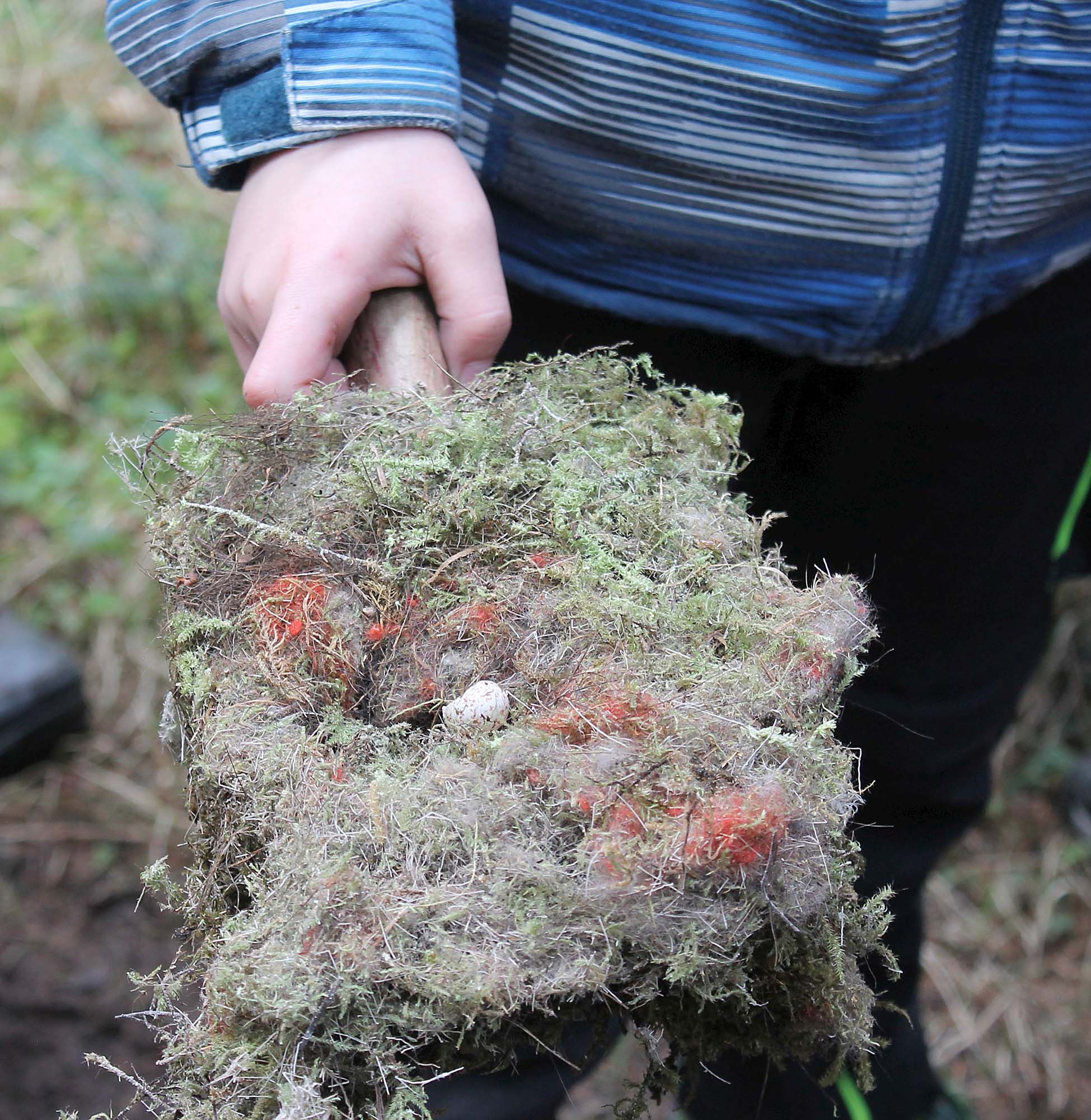 2024-2-28-OH-Franz Huber-SWV-Familienwanderung-Bild-05