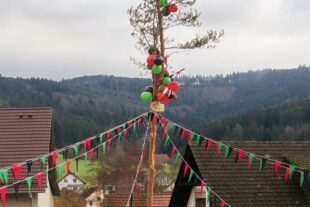 2024-2-5-ZE-UH-ga-Narrenbaumstellen-IMG_8265