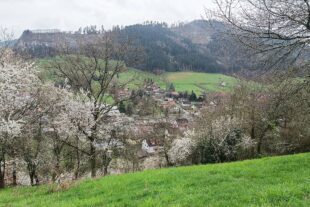 2024-3-11-NO-DAV- Seniorenwanderung zur Schirrmaierhütte-03_2024_Wanderung zur Schirrmaierhütte_06