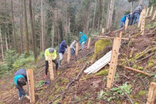 2024-3-28-NO-bia-SWV-Pflanzaktion-Bild Arno Lehmann-20240316_100611