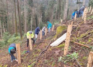 Schwarzwaldverein löst Versprechen ein