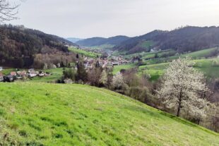 2024-4-10-NO-Luitgard Bieser-DAV-Kameradschaftsabend 04_24_06