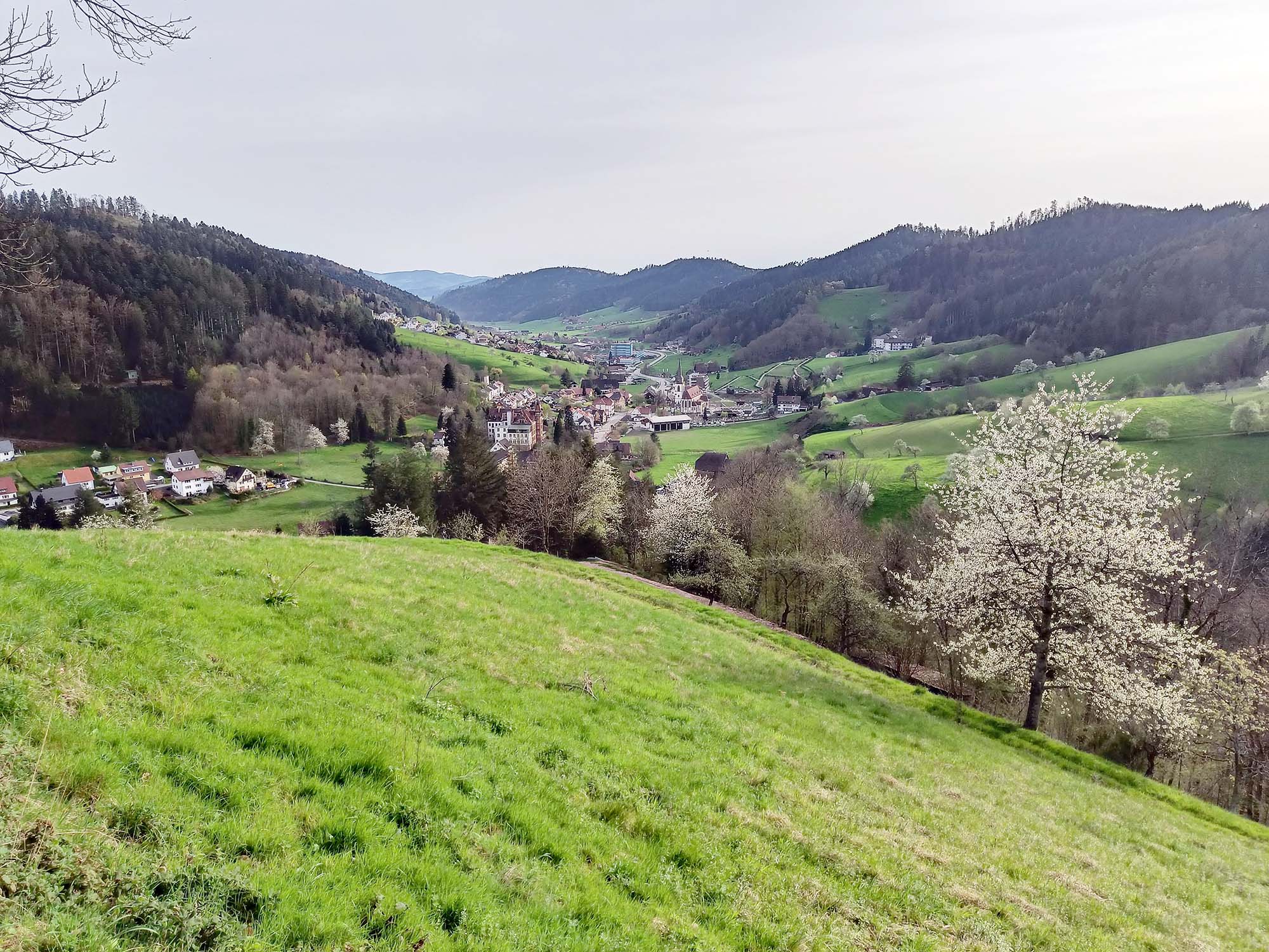 2024-4-10-NO-Luitgard Bieser-DAV-Kameradschaftsabend 04_24_06