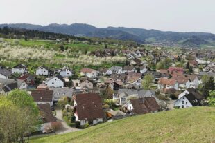 2024-4-12-ZE-UH-ibr-WuF Reichenbach IMG_20240407_115124