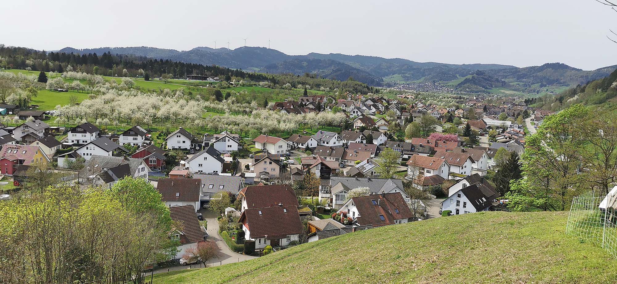 2024-4-12-ZE-UH-ibr-WuF Reichenbach IMG_20240407_115124