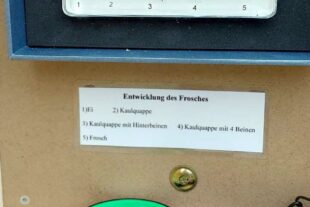 2024-4-19-NO-Touristen-Information-Entdecker Kasten Frosch
