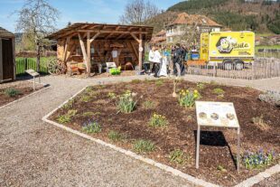 2024-4-3-ZE-Thomas Marwein besucht den Bienengarten_1