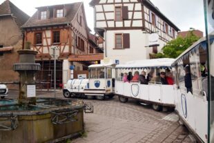 2024-4-30-NO-hv-Altenwerk NO-Ausflug nach Dambach-la-Ville-DSC_0229
