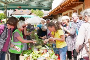 2024-4-30-ZE-UE-Martin Huber-Pflanzentauschtag-Hochbetrieb an den Tauschständen