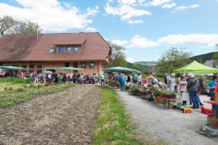 2024-4-30-ZE-UE-Martin Huber-Pflanzentauschtag-Pflanzentausch beim Biohof Reber