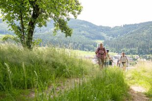 Der „Mittlere Schwarzwald“ lädt ein zur Eröffnung der Wander- und Radsaison