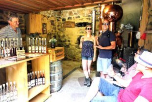 2023-5-19-NO-Gemeinde-Brennhisli-Brennhisli Schwarzhof mit Gästen_ Sabrina Herrmann