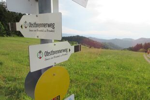 2023-6-2-NO-Tourist-Info-Brennhislitag-Beschilderung Obstbrennerweg