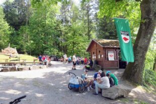 2024-5-10-BI-Klaus Pfaff-SWV-Maihock Luisenhütte-IMG_4456